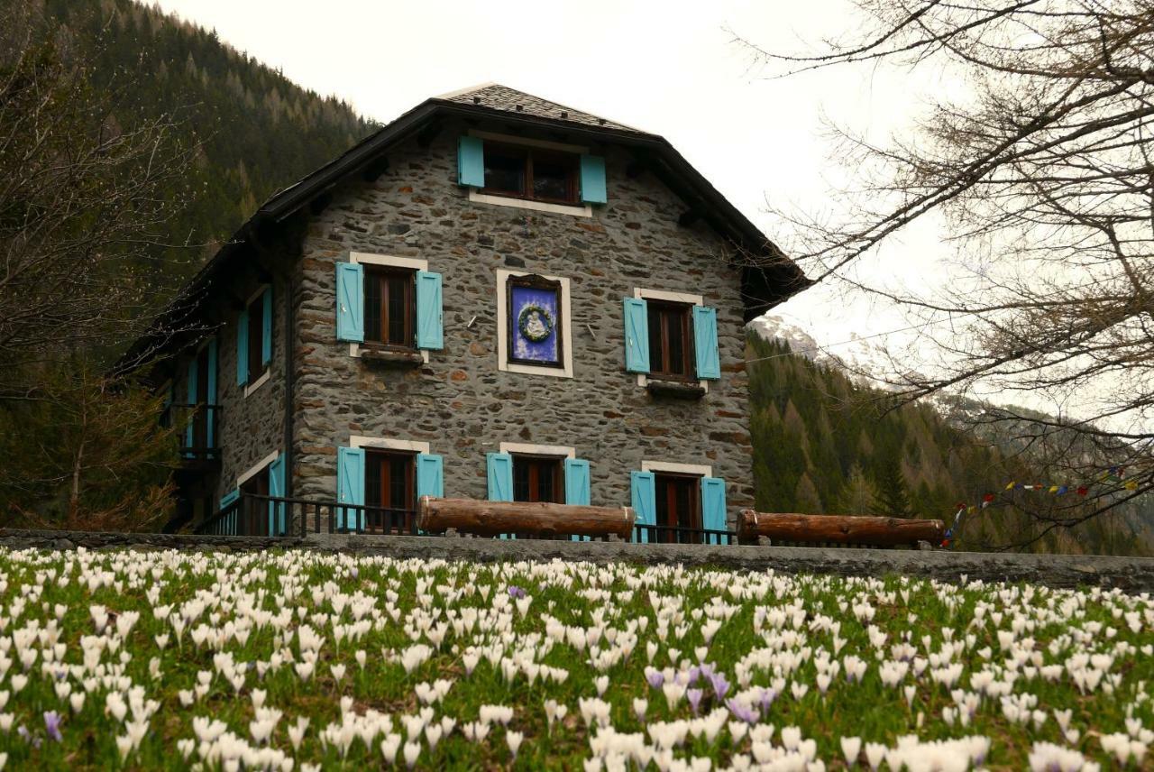 Il Cortese Chiareggio Bagian luar foto