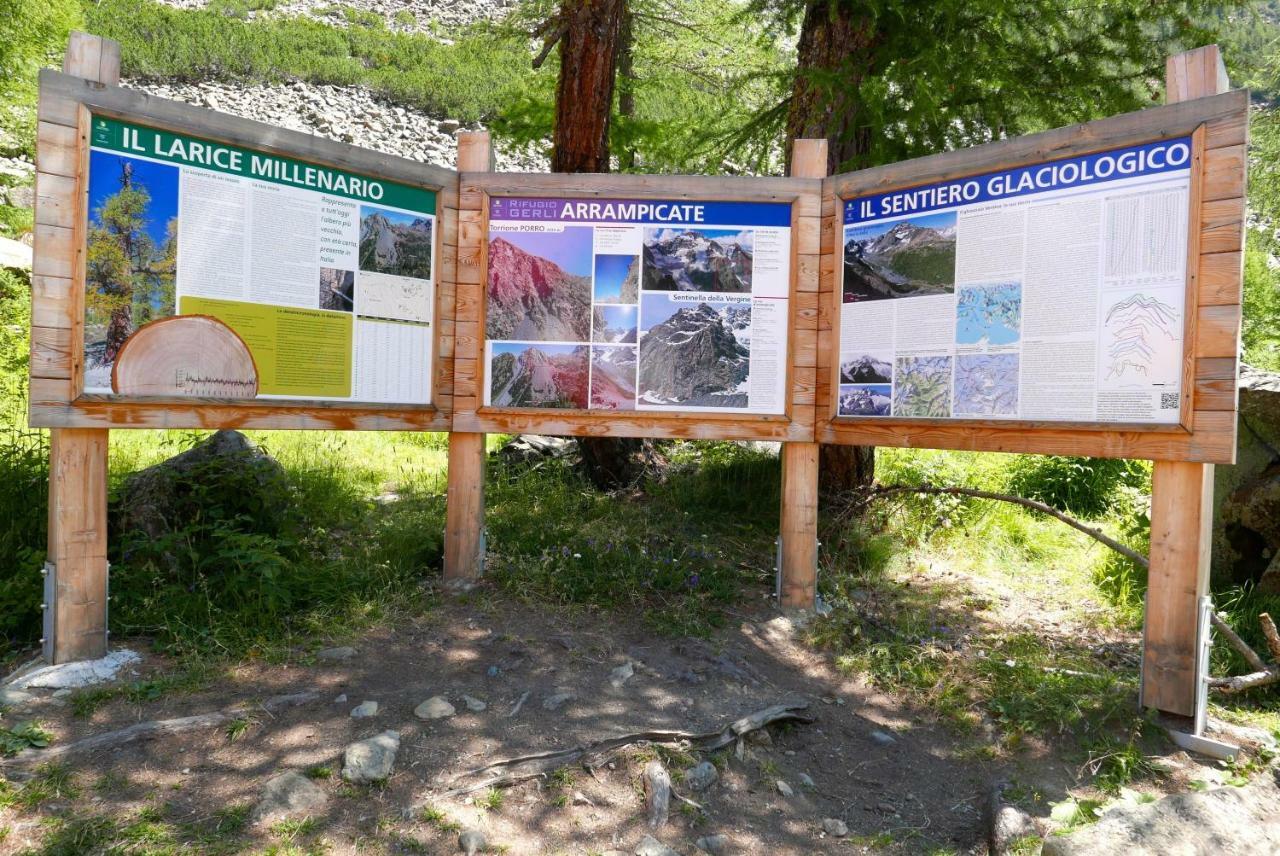 Il Cortese Chiareggio Bagian luar foto